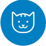 Castração de Gatos