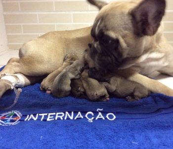 10271483_1427034367567650_8855951913668480774_n