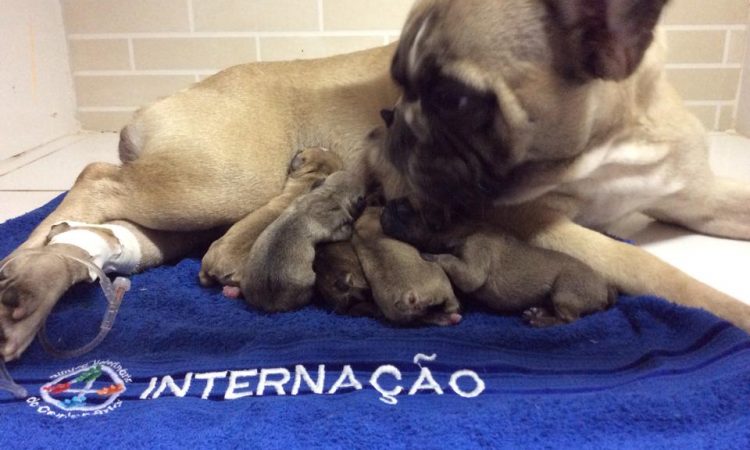 10271483_1427034367567650_8855951913668480774_n