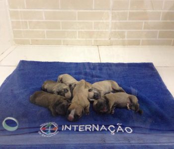 10292150_635717746510714_4348193074596968721_n