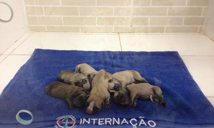 10292150_635717746510714_4348193074596968721_n