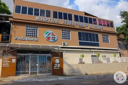 fachada_diagonal
